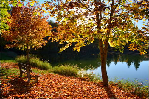 Herbst-Laubwald-am-See-4