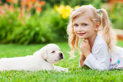 Little girl with a labrador puppy, outdoor summer